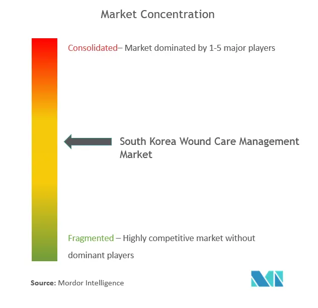 South Korea Wound Care Management Market Concentration