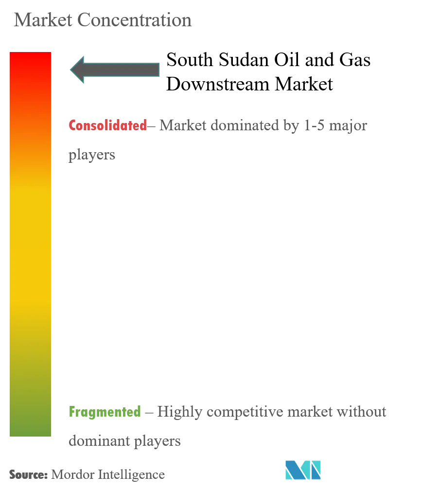 Mercado downstream de petróleo y gas de Sudán del Sur - Market Concentration.png