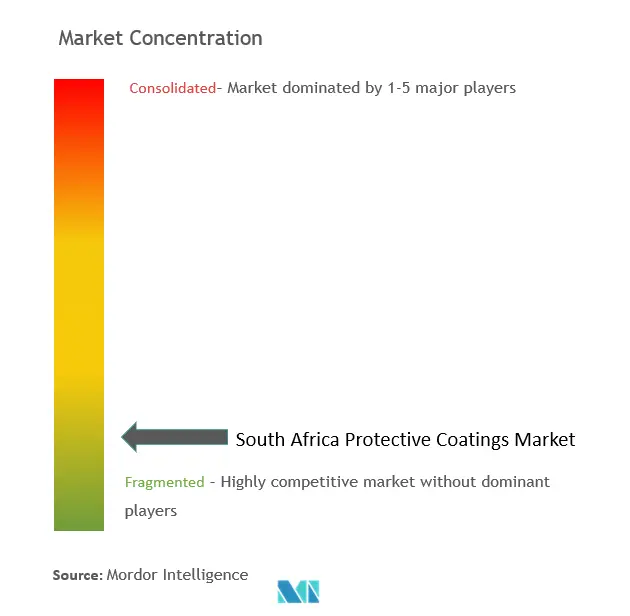 南アフリカの保護コーティング市場の集中