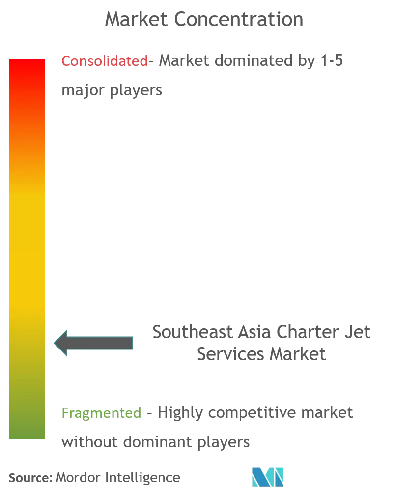 Services de jets charters en Asie du Sud-EstConcentration du marché