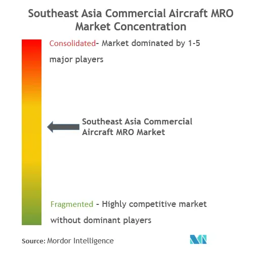 동남아시아 상업용 항공기 MRO 시장 집중도