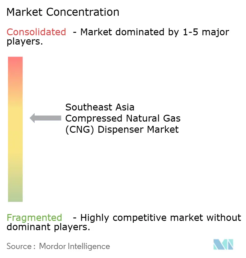 Southeast Asia Compressed Natural Gas Dispenser Market Concentration