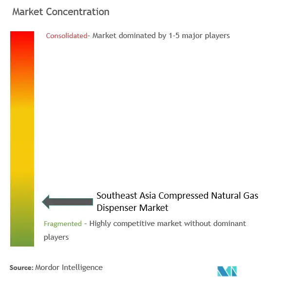 Southeast Asia Compressed Natural Gas Dispenser Market Concentration