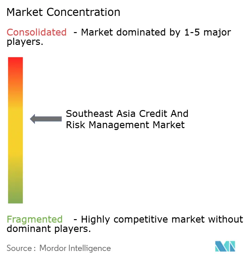 Southeast Asia Credit and Risk Management Market Concentration