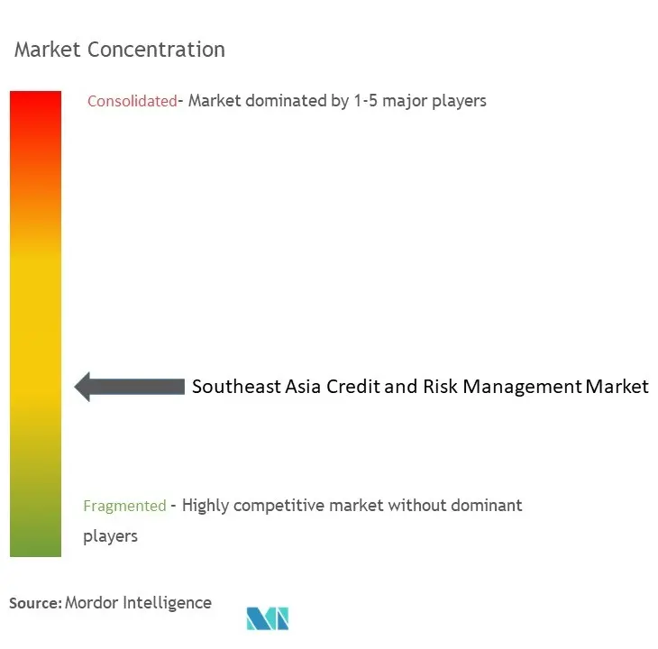 Southeast Asia Credit and Risk Management Market Concentration