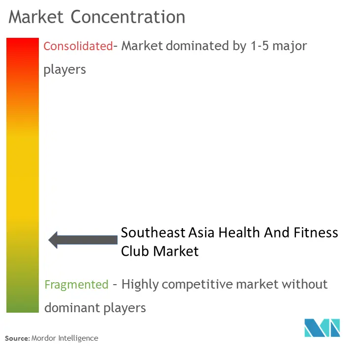 Southeast Asia Health And Fitness Club Market Concentration