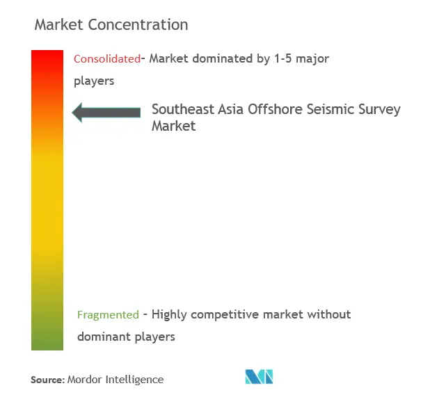 Southeast Asia Offshore Seismic Survey Market Concentration