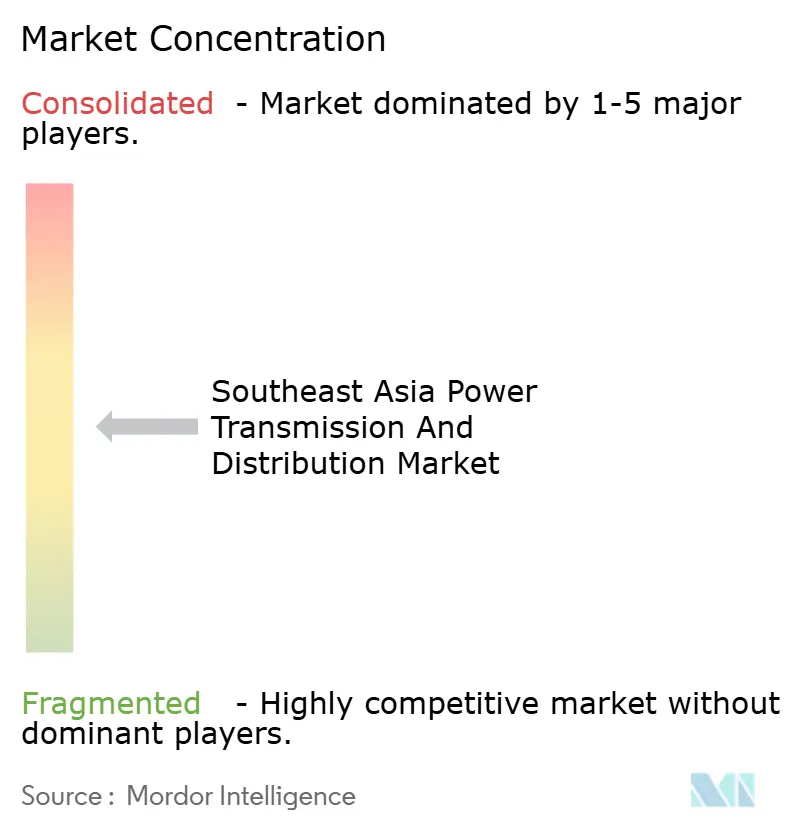 Southeast Asia Power Transmission And Distribution Market Concentration