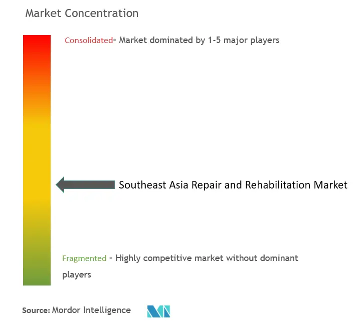 Southeast Asia Repair and Rehabilitation Market Concentration