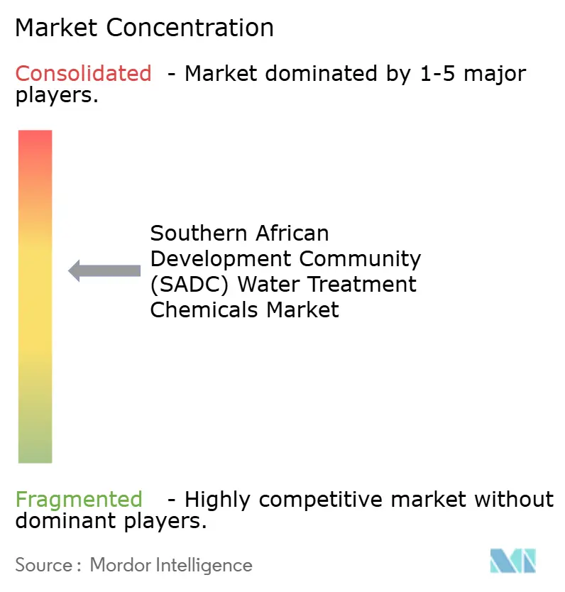 Southern African Development Community (SADC) Water Treatment Chemicals Market - Market Concentration