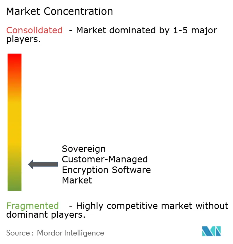 Sovereign Customer Managed Encryption Software Market Concentration
