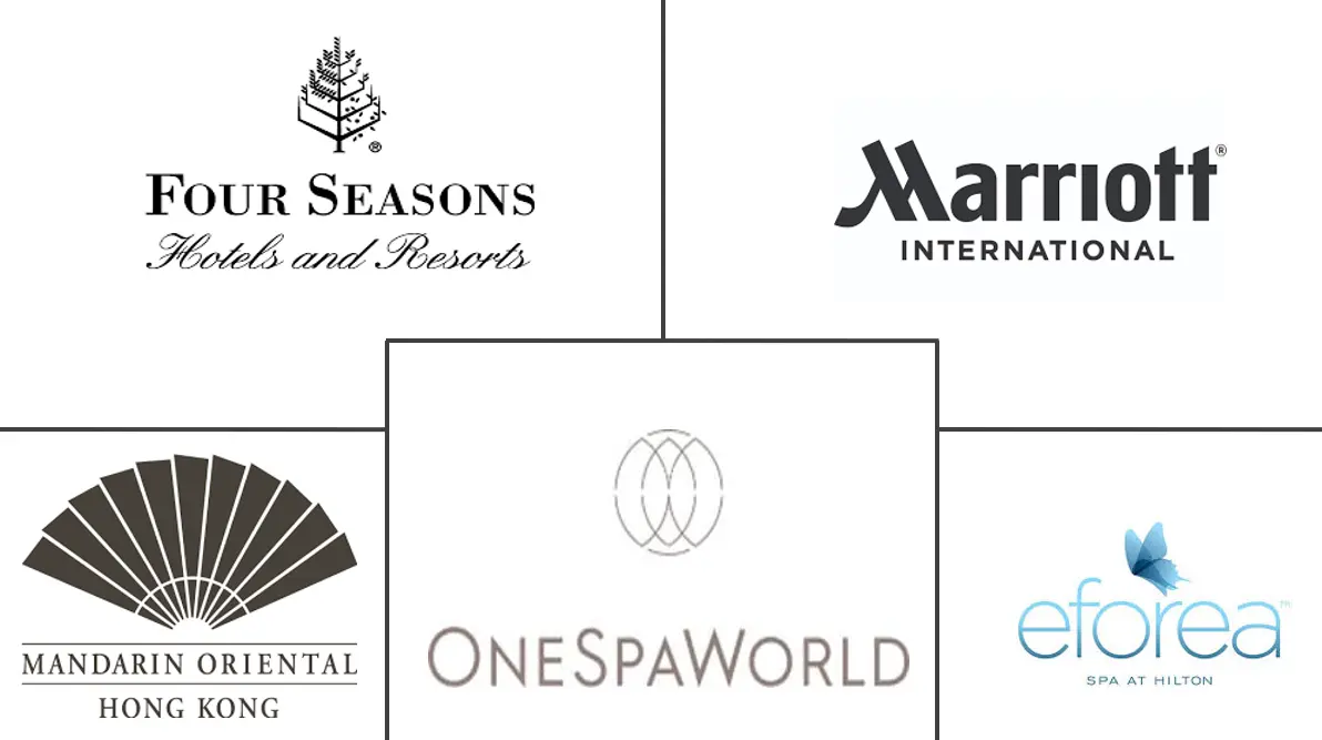 Major players in Spa industry