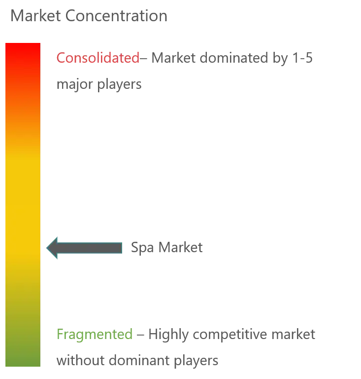 Spa Market Concentration