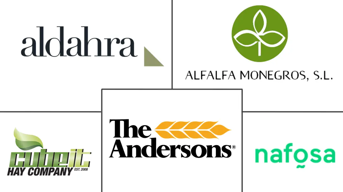 Major players in Spain Alfalfa Hay industry