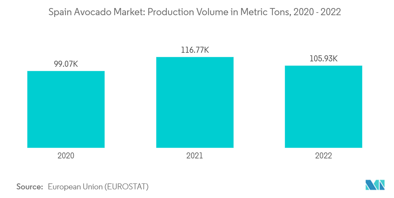 Spain Avocado Market: Production Volume in Metric Tons