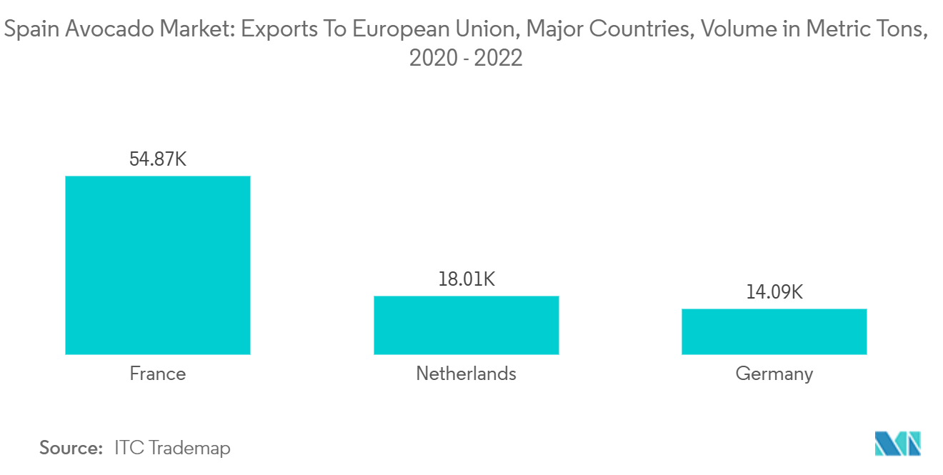 Spain Avocado Market: Exports To European Union, Major Countries, Volume in Metric Tons