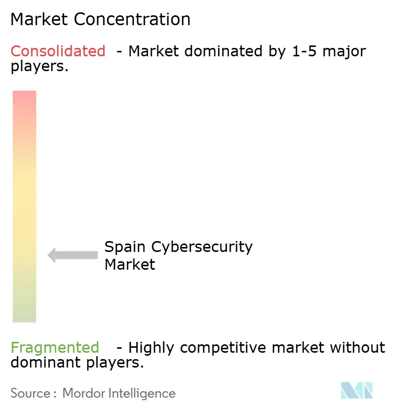 Spain Cybersecurity Market Concentration