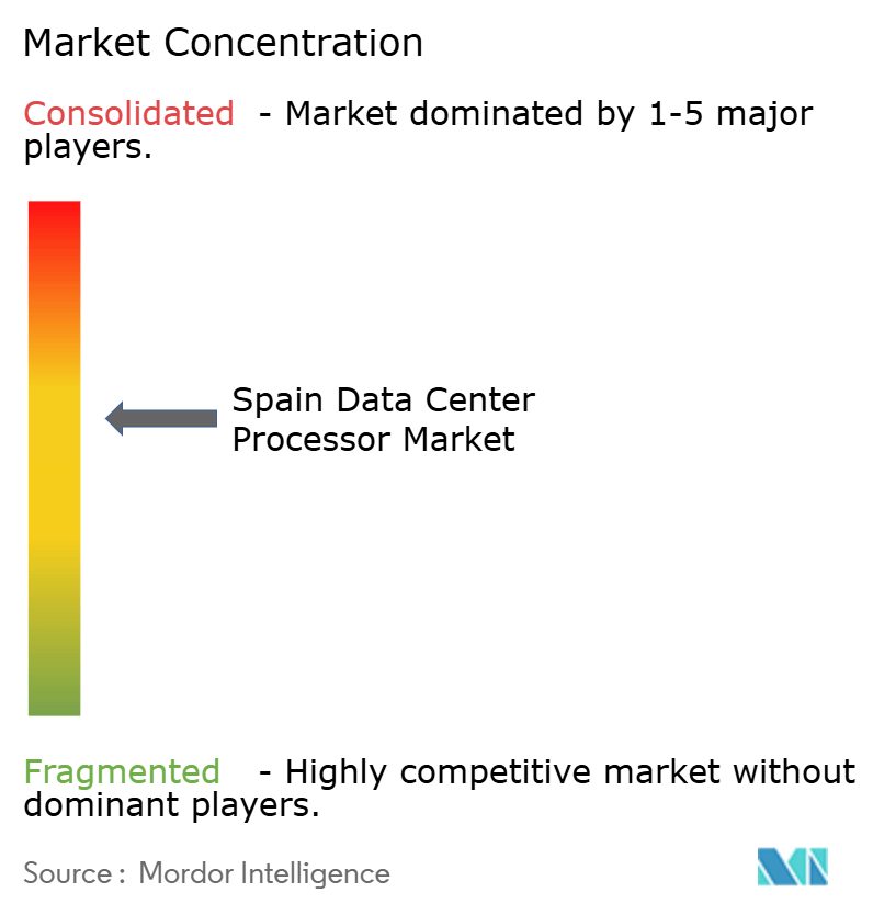 Spain Data Center Processor Market Concentration