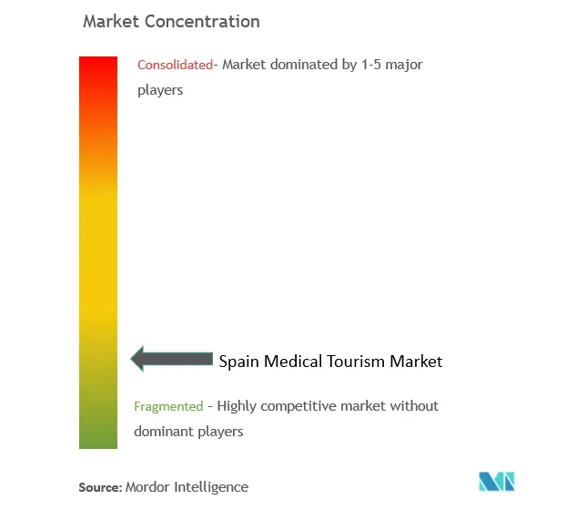 Spain Medical Tourism Market Concentration