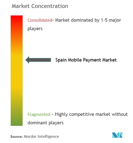 Spain Mobile Payment Market Concentration