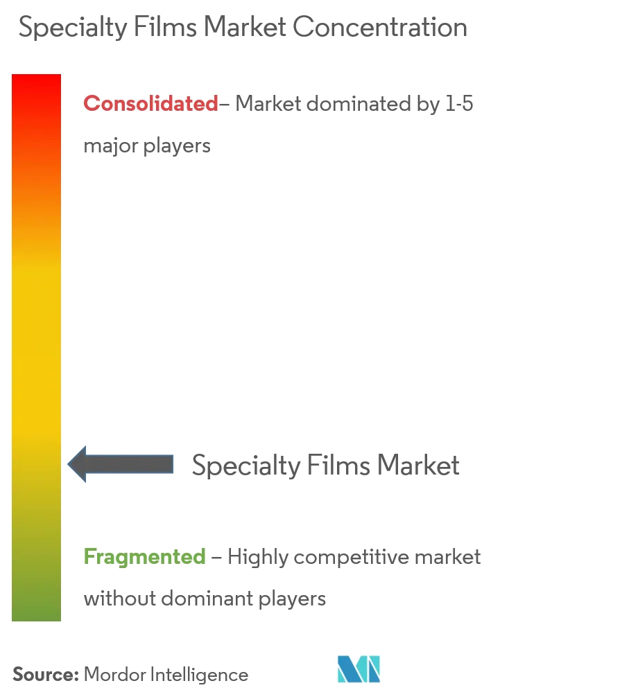 3M​, Akzo Nobel NV, AVERY DENNISON CORPORATION, Covestro AG​​, Dupont Teijin Films US Limited Partnership, Honeywell International Inc​​.