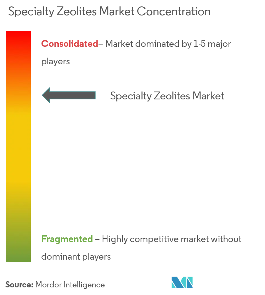 Specialty Zeolites Market - Market Concentration.PNG