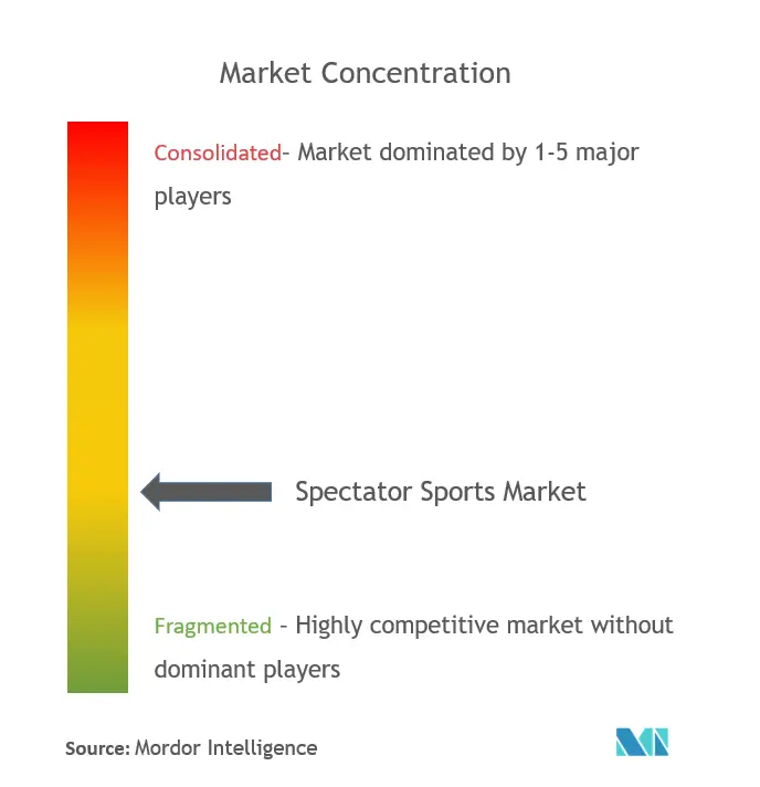 Spectator Sports Market Concentration