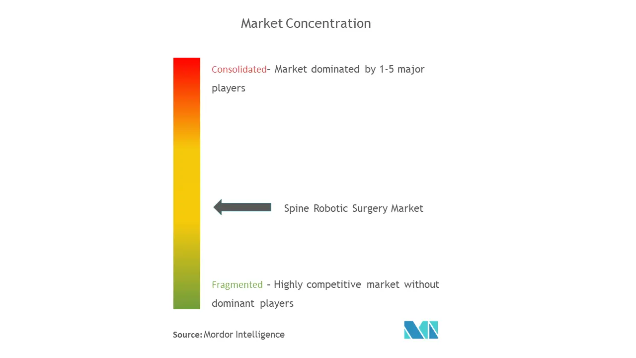 Spine Robotic Surgery Market Concentration