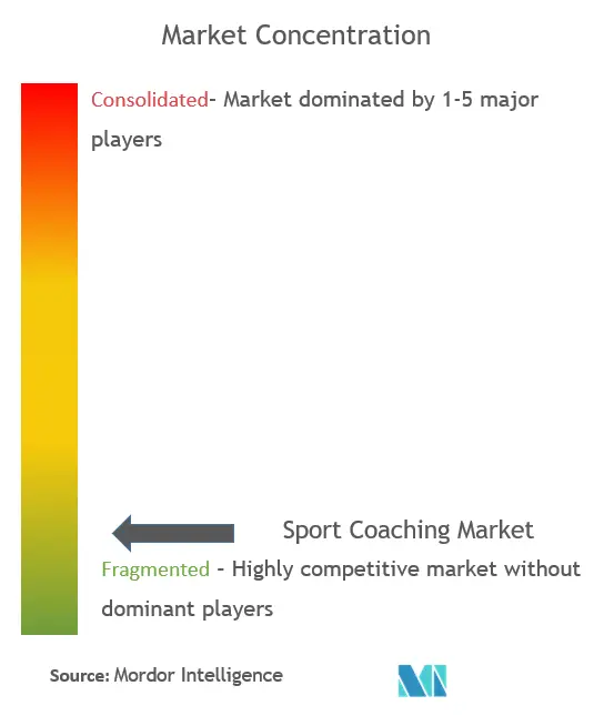 Sports Coaching Market Concentration