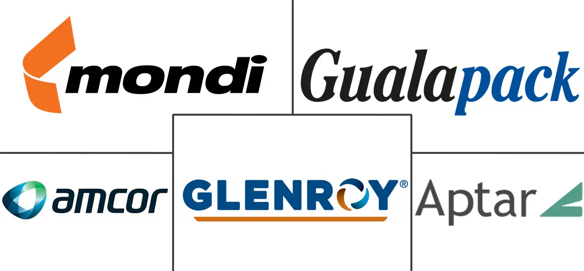 Major players in Spouted Pouches And Fitments industry