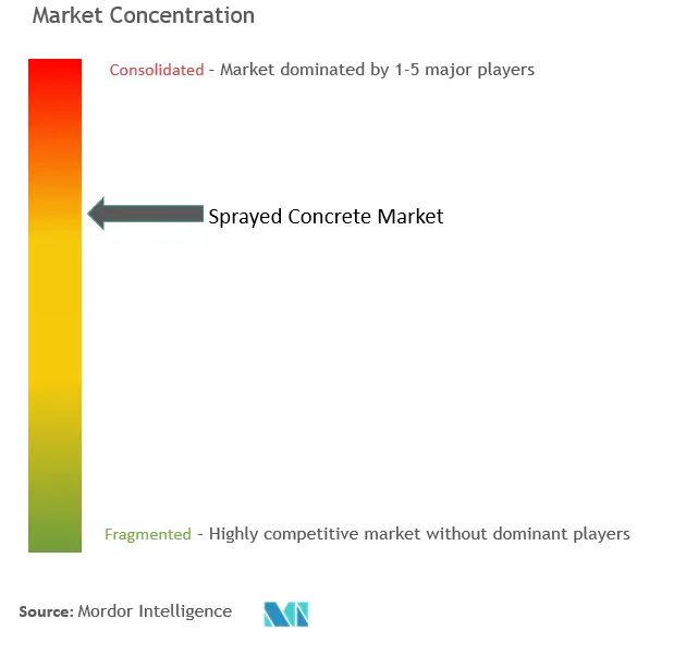 Sprayed Concrete (Shotcrete) Market Concentration