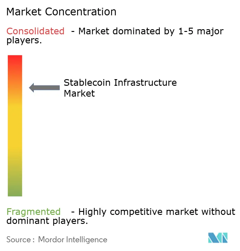 Concentración del Mercado de Infraestructura de Stablecoin