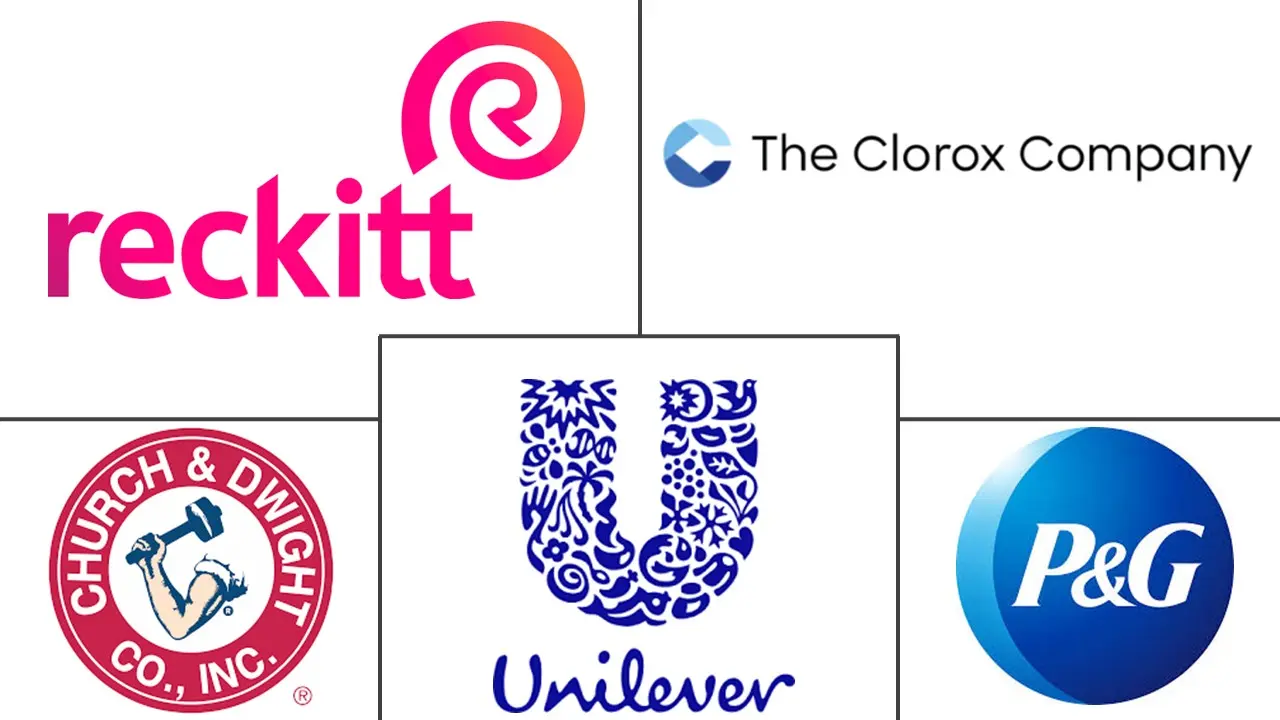 Major players in Stain Remover industry