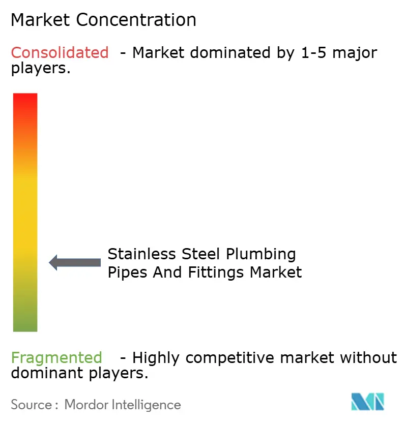Stainless Steel Plumbing Pipes and Fittings Market - Market Concentration