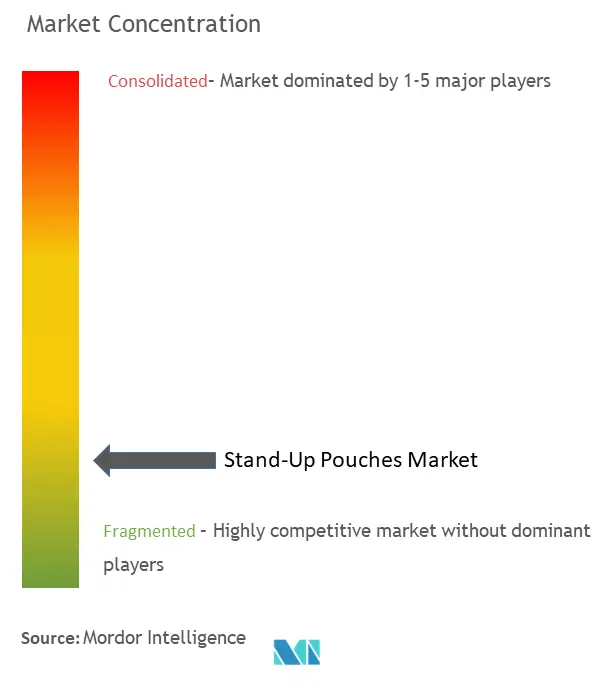 Stand-Up Pouches Market-Market Concentration.png