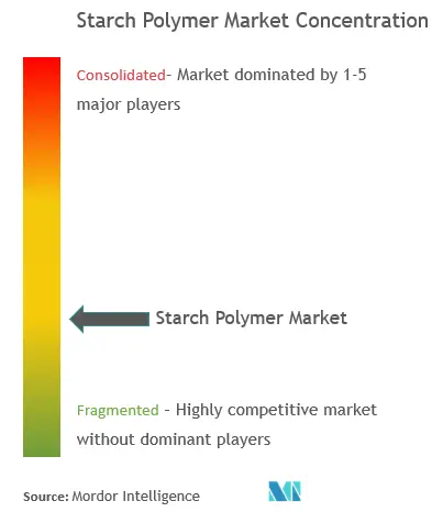Starch Polymer Market - Market Concentration.png