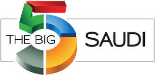 clientesnuevos/THEBIGSAUDILOGOjpg