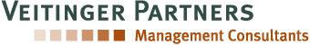 clientesnuevo/VeitingerPartnersLogopng