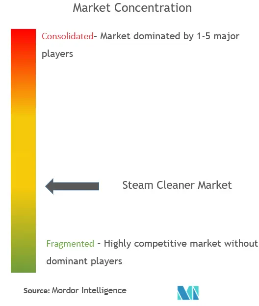 Steam Cleaner Market Concentration
