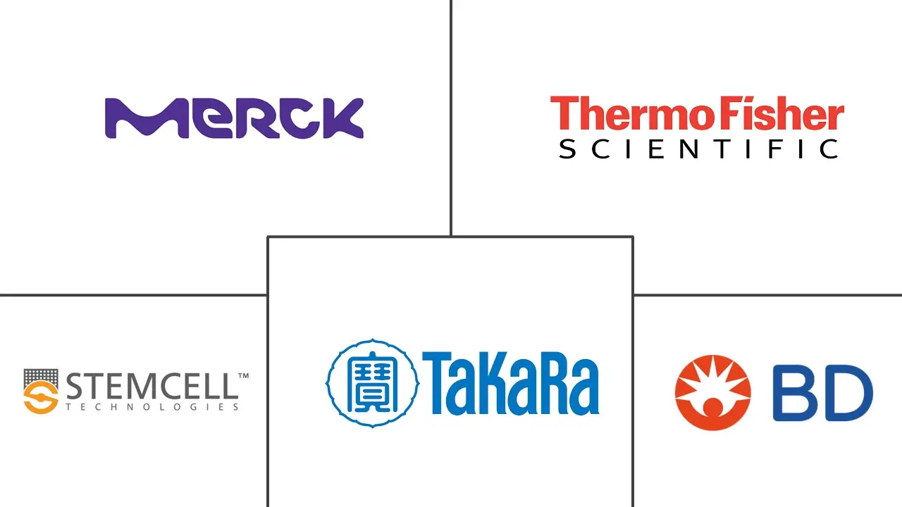 Related Companies Logo