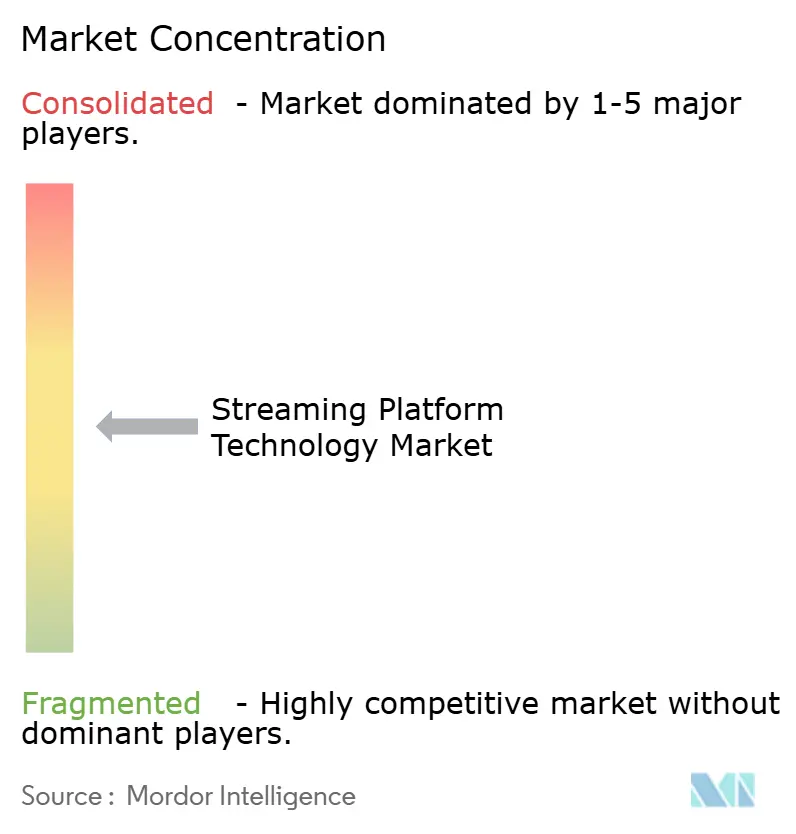 Streaming Platform Technology Market Concentration