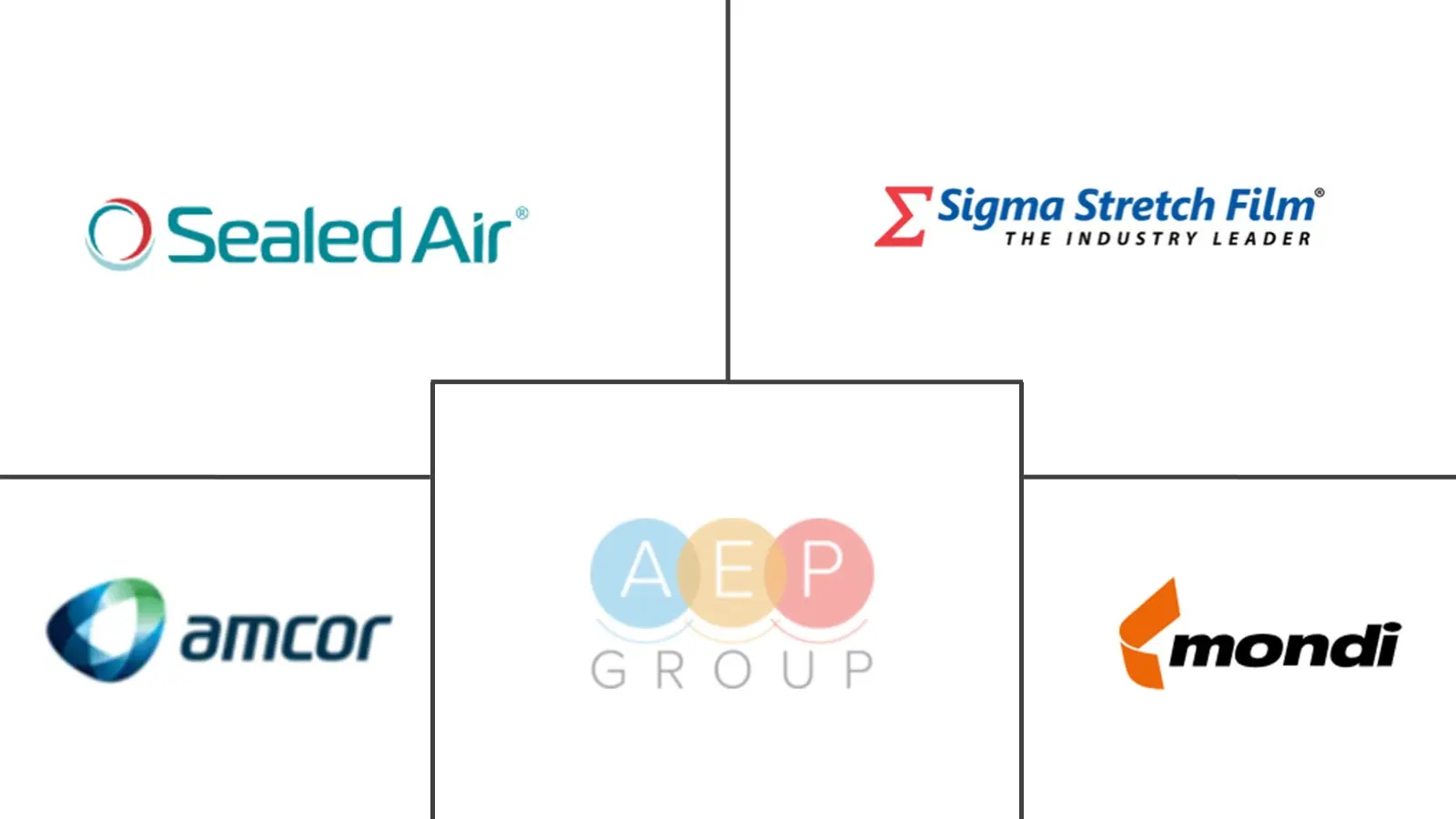 Major players in Stretch and Shrink Film industry