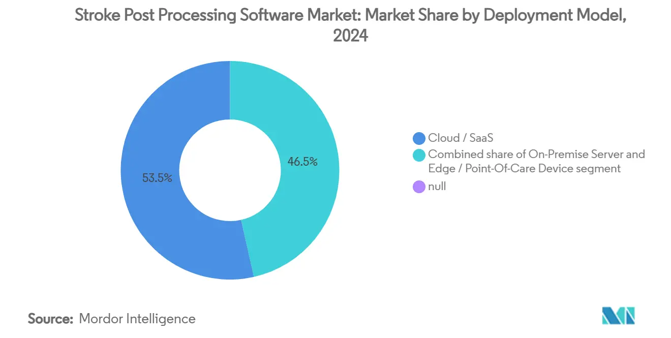 Stroke Post Processing Software Market: Market Share by Deployment Model