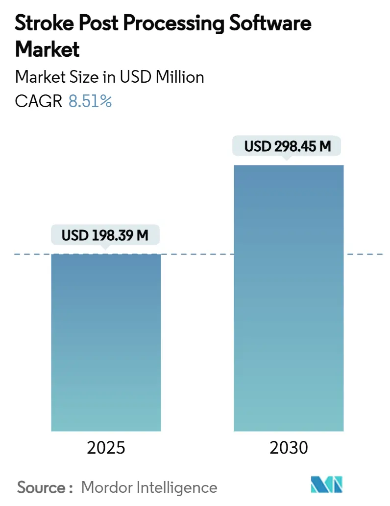 Stroke Post Processing Software Market (2025 - 2030)