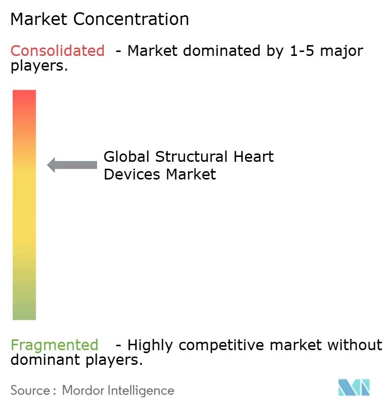 Global Structural Heart Devices Market Concentration Global Structural Heart Devices Market Concentration