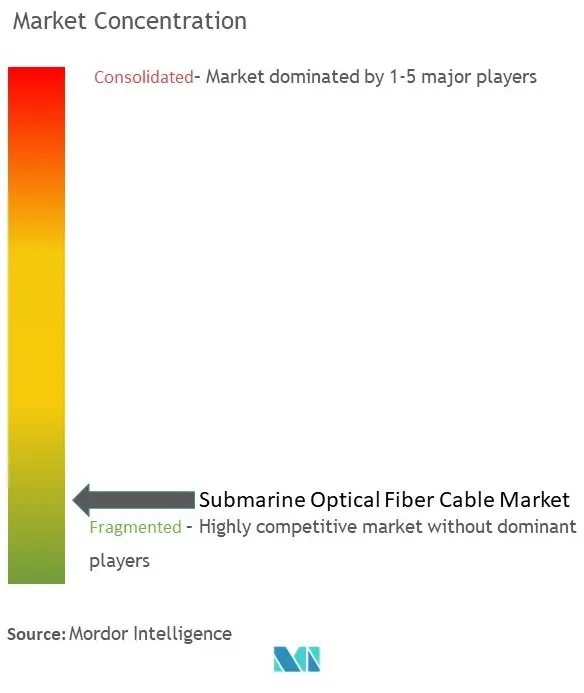 Le Japonais NEC construit le câble sous-marin à fibre optique le