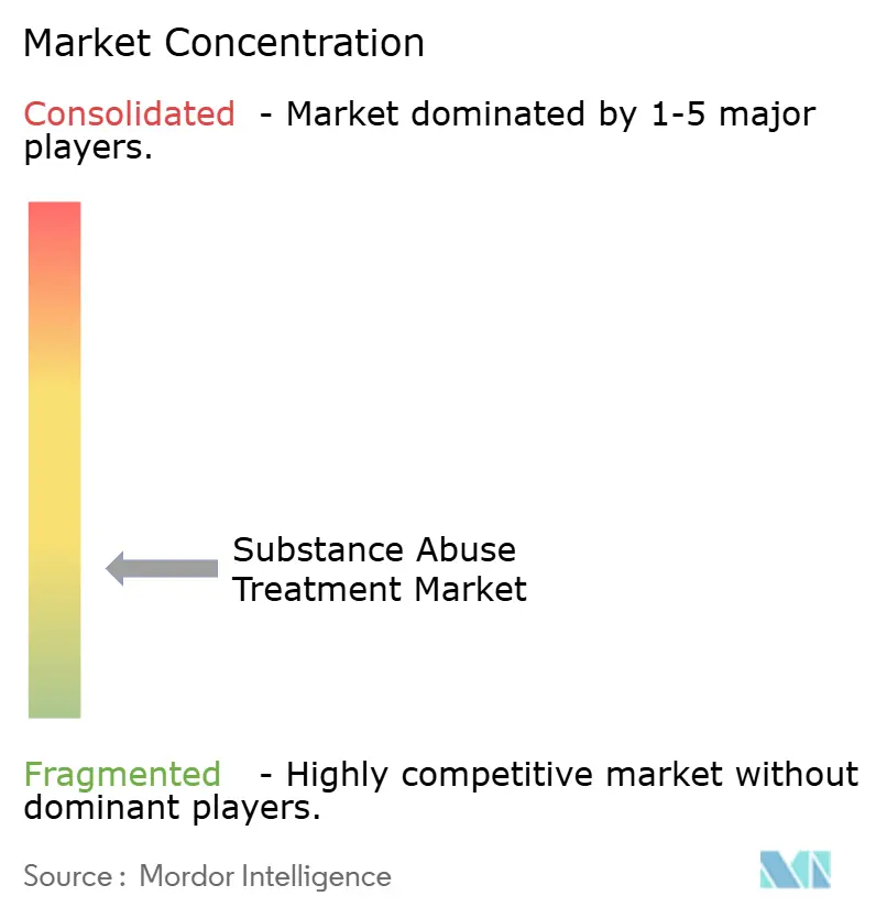 Substance Abuse Treatment Market Concentration