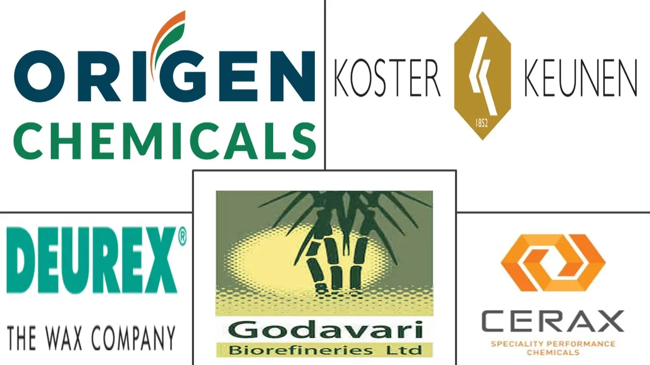 Major players in Sugarcane Wax industry