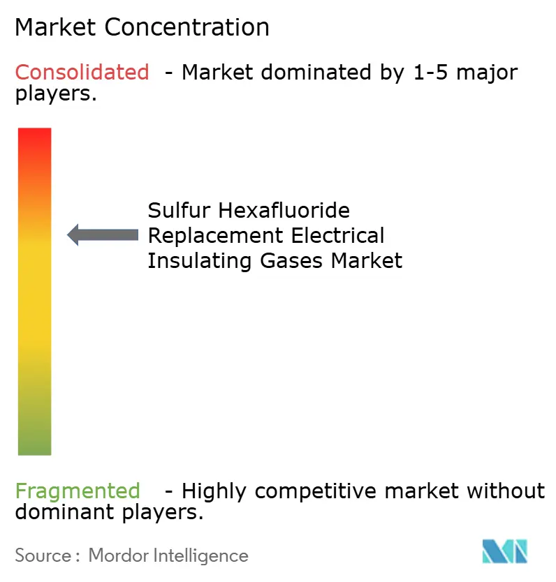 Sulfur Hexafluoride Replacement Electrical Insulating Gases Market Concentration