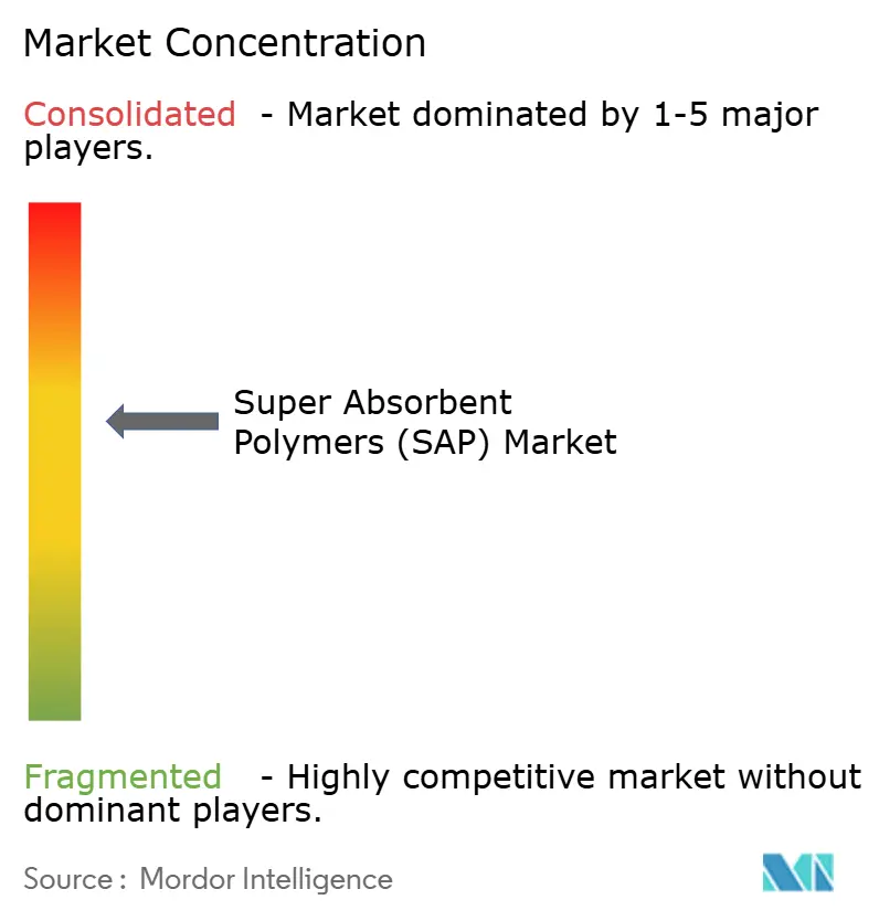 Super Absorbent Polymers (SAP) Market - Market Concentration